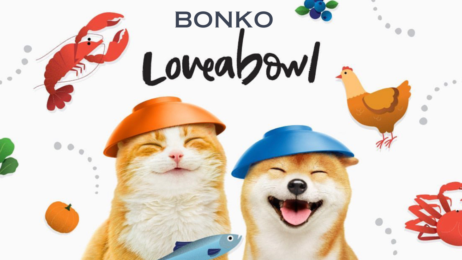 BONKO (1)